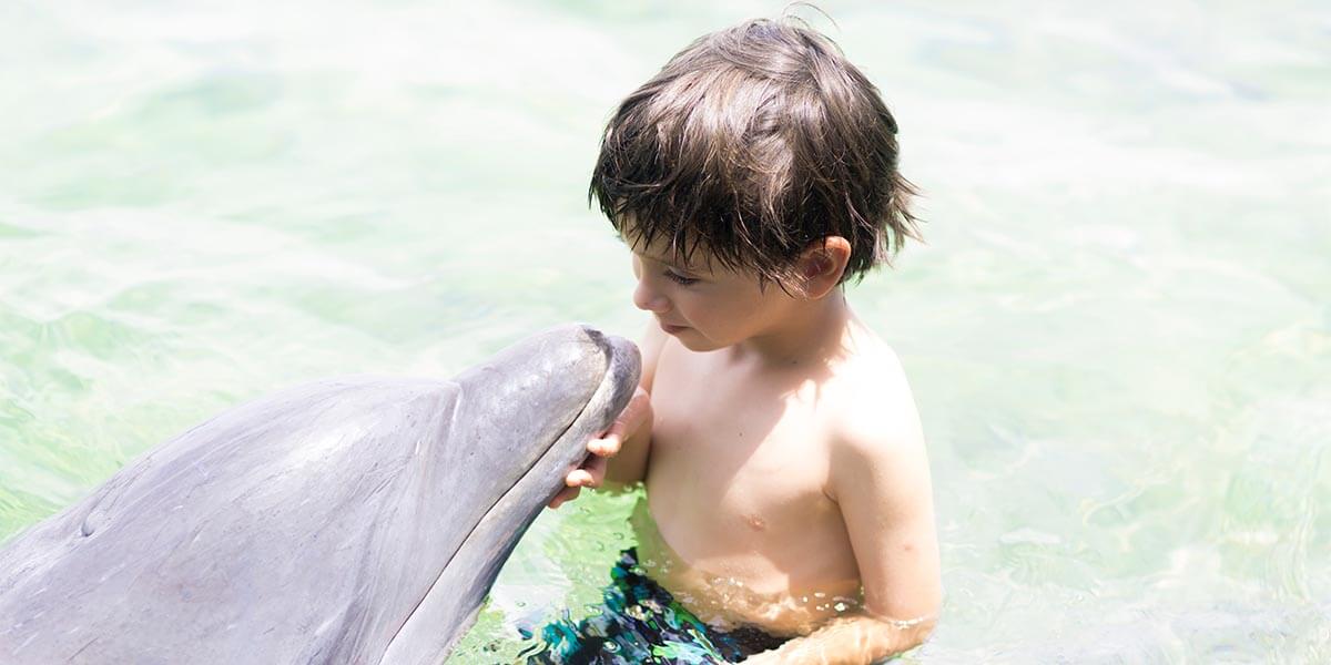 Childre love underwater life, and here they can practice snorkeling or meet the dolphins